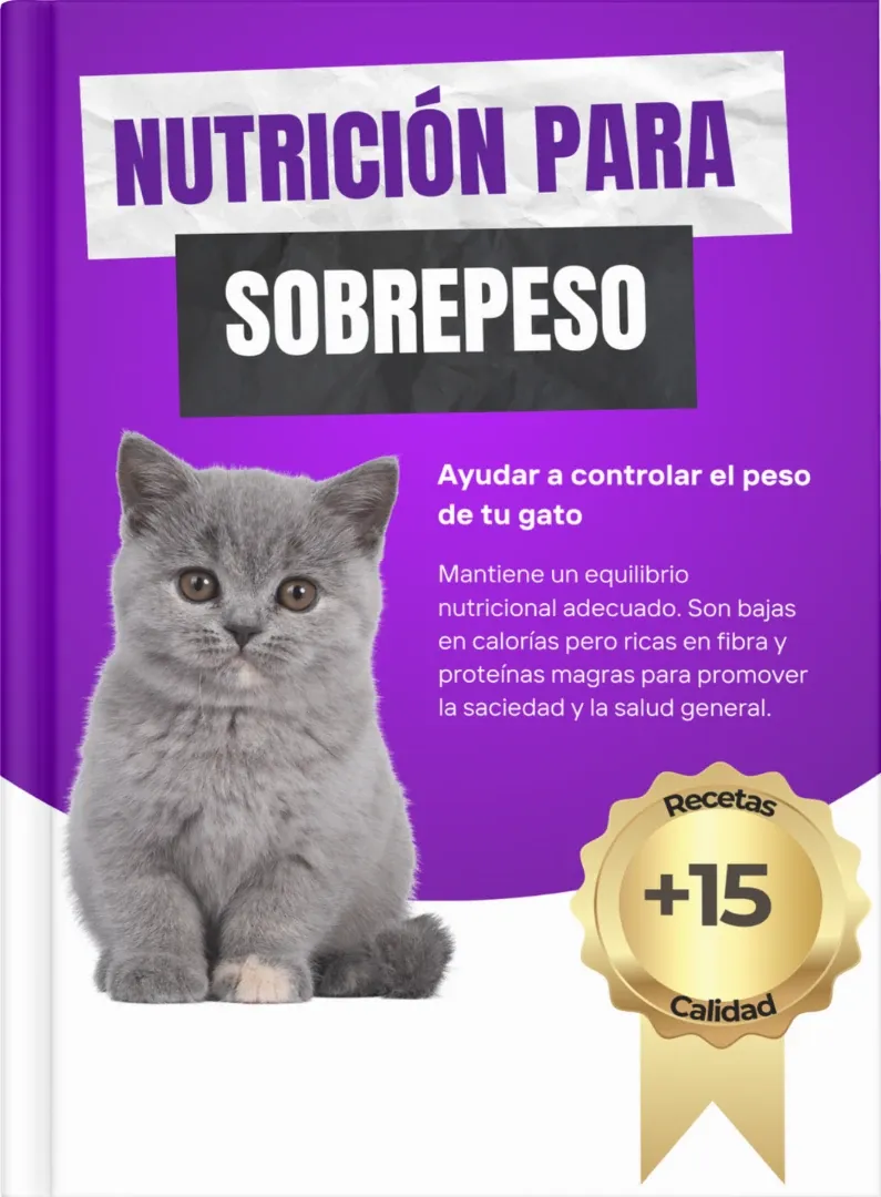 Alimentación natural para mascotas