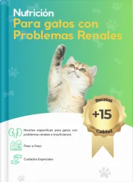 Alimentación natural para mascotas