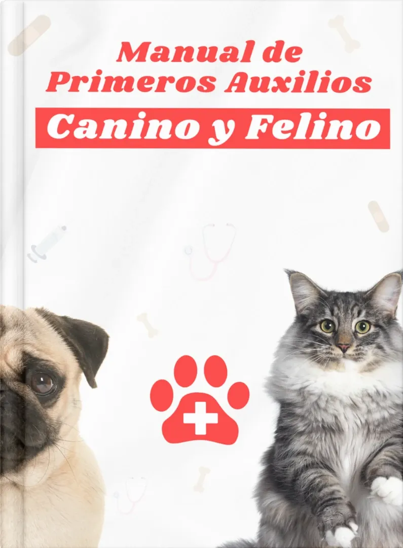Alimentación natural para mascotas