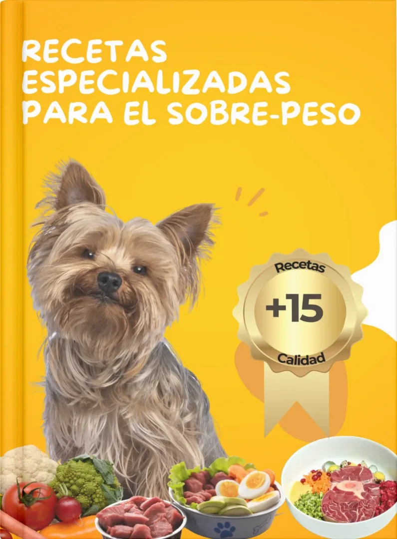 Alimentación natural para mascotas
