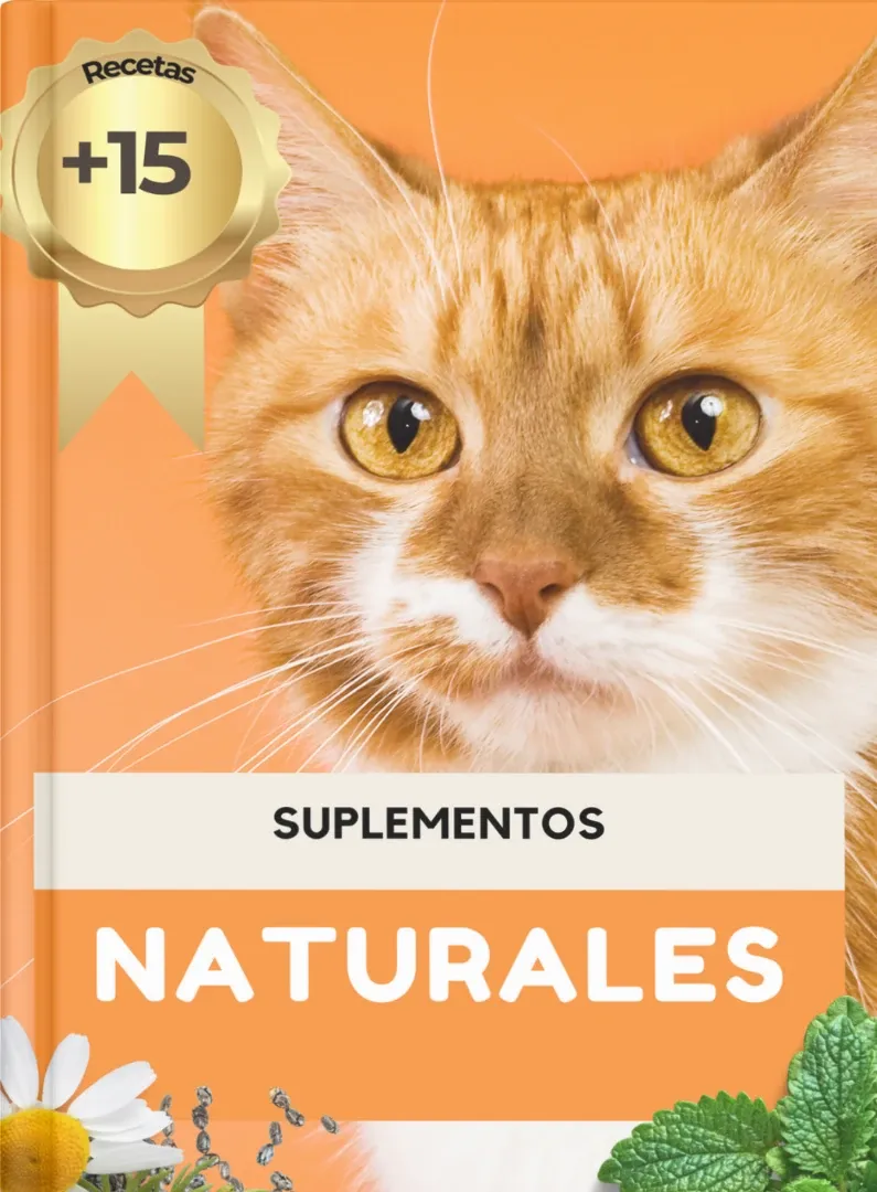 Alimentación natural para mascotas