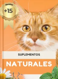 Alimentación natural para mascotas