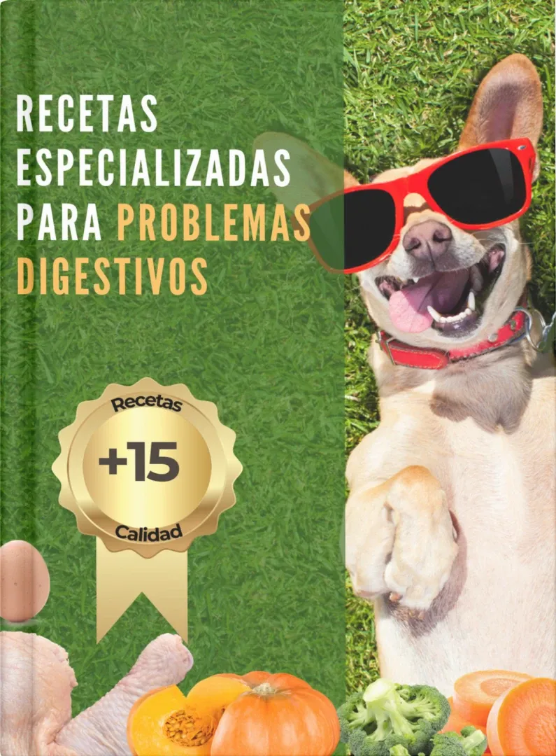 Alimentación natural para mascotas
