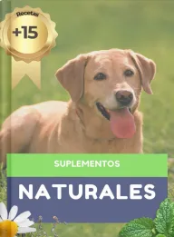 Alimentación natural para mascotas