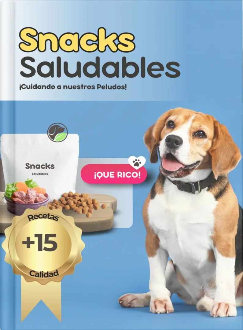 Alimentación natural para mascotas