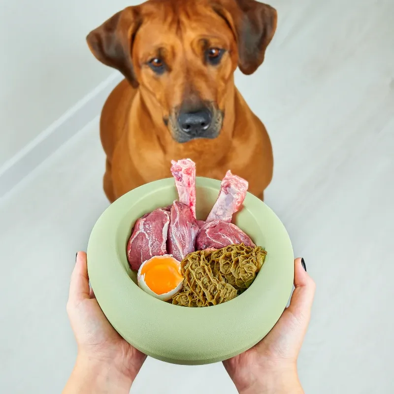 Celebración de cumpleaños de perro